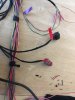 evap plugs.JPG evap plugs.JPG