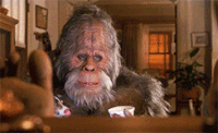 11af8c006924df9f350da76949d989eb_w200.gif