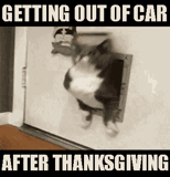 44069