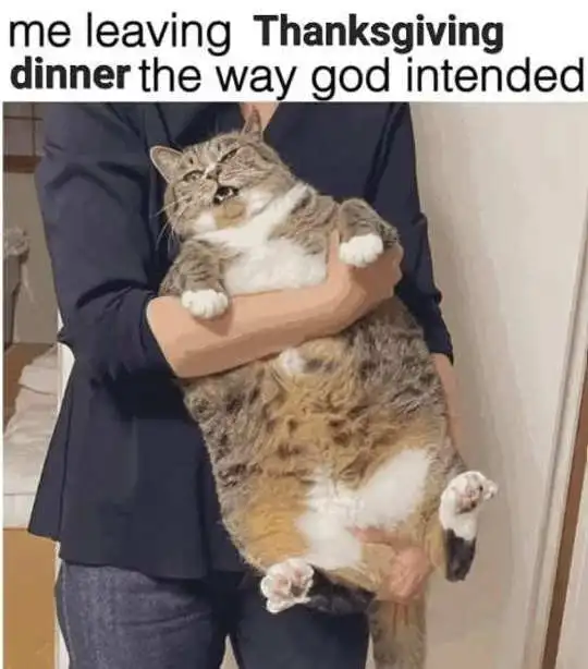 54702