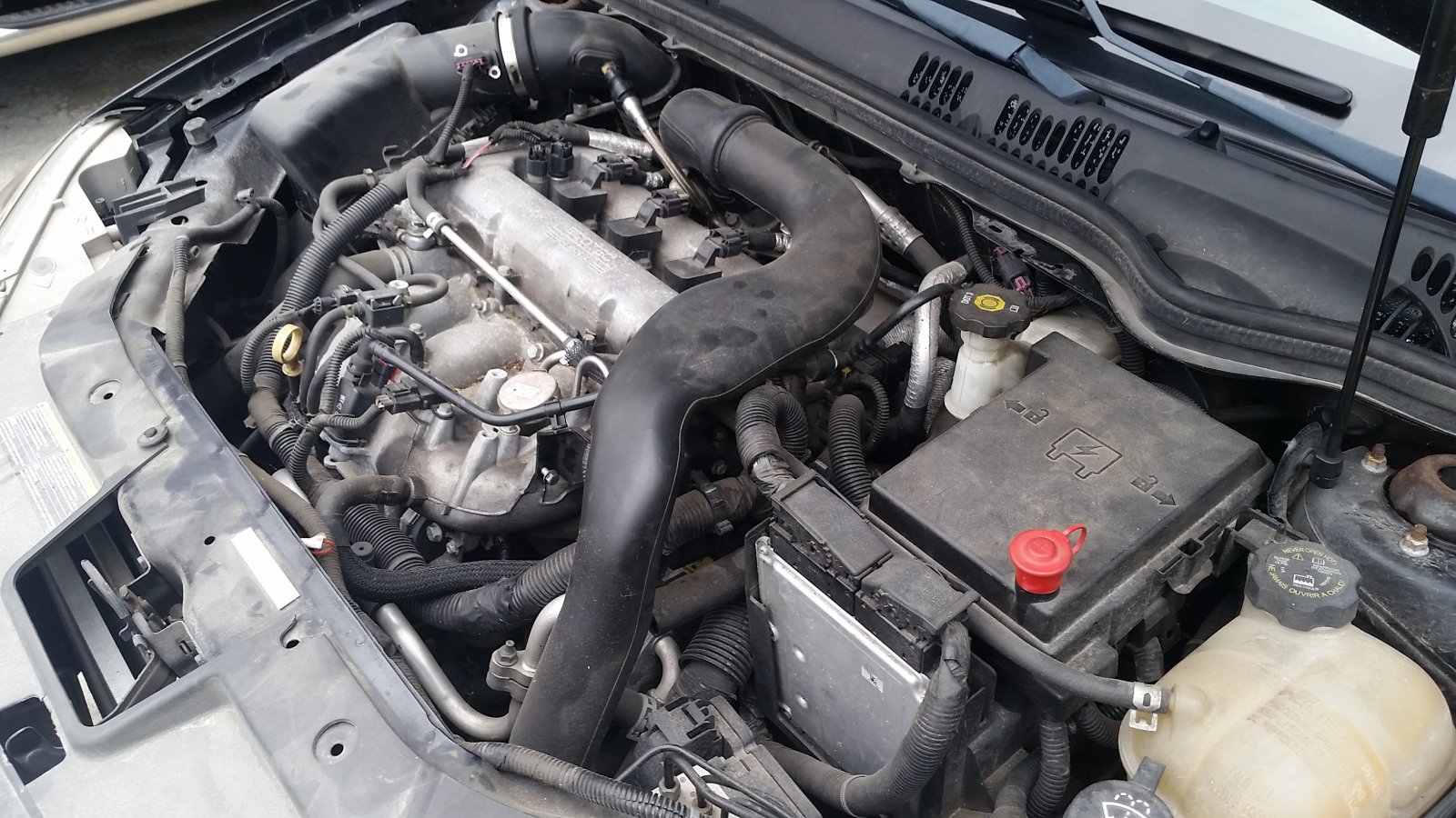 20160627_155232.jpg