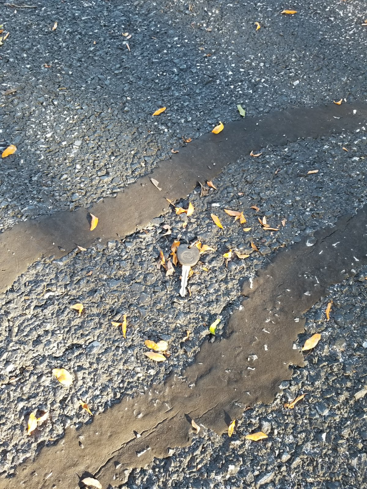 20200830_181538.jpg