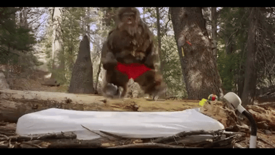 baby-bigfoot-jumping-on-a-bed-m899yt7zg6z1gcvj.gif