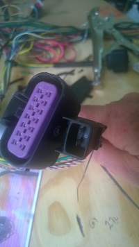 Body Harness with Engine Harness Connectors.jpg