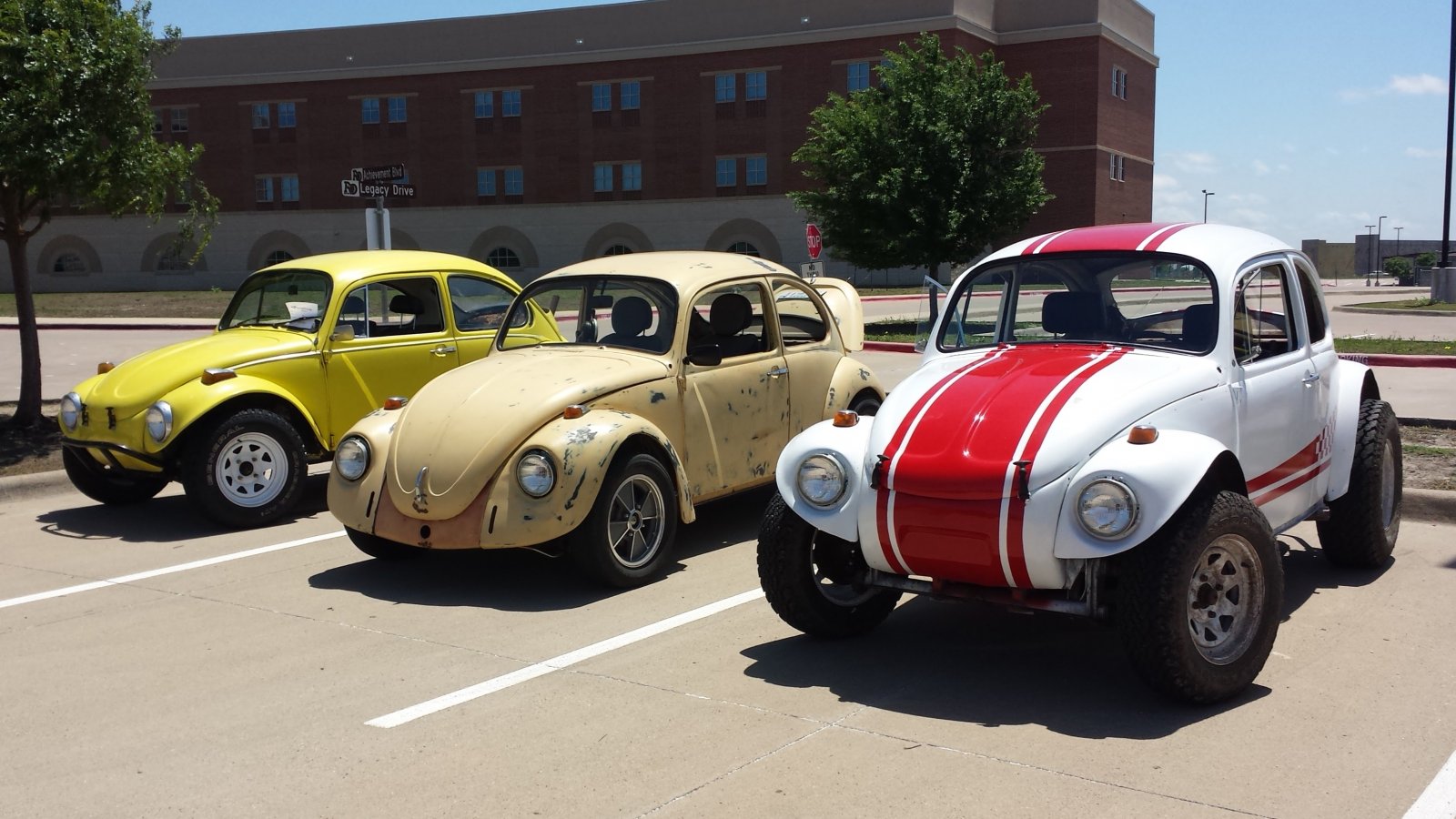 bugs at car show.jpg