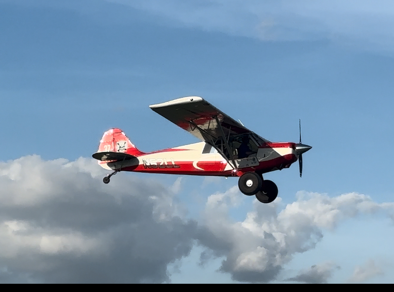 IMG_8703.jpeg