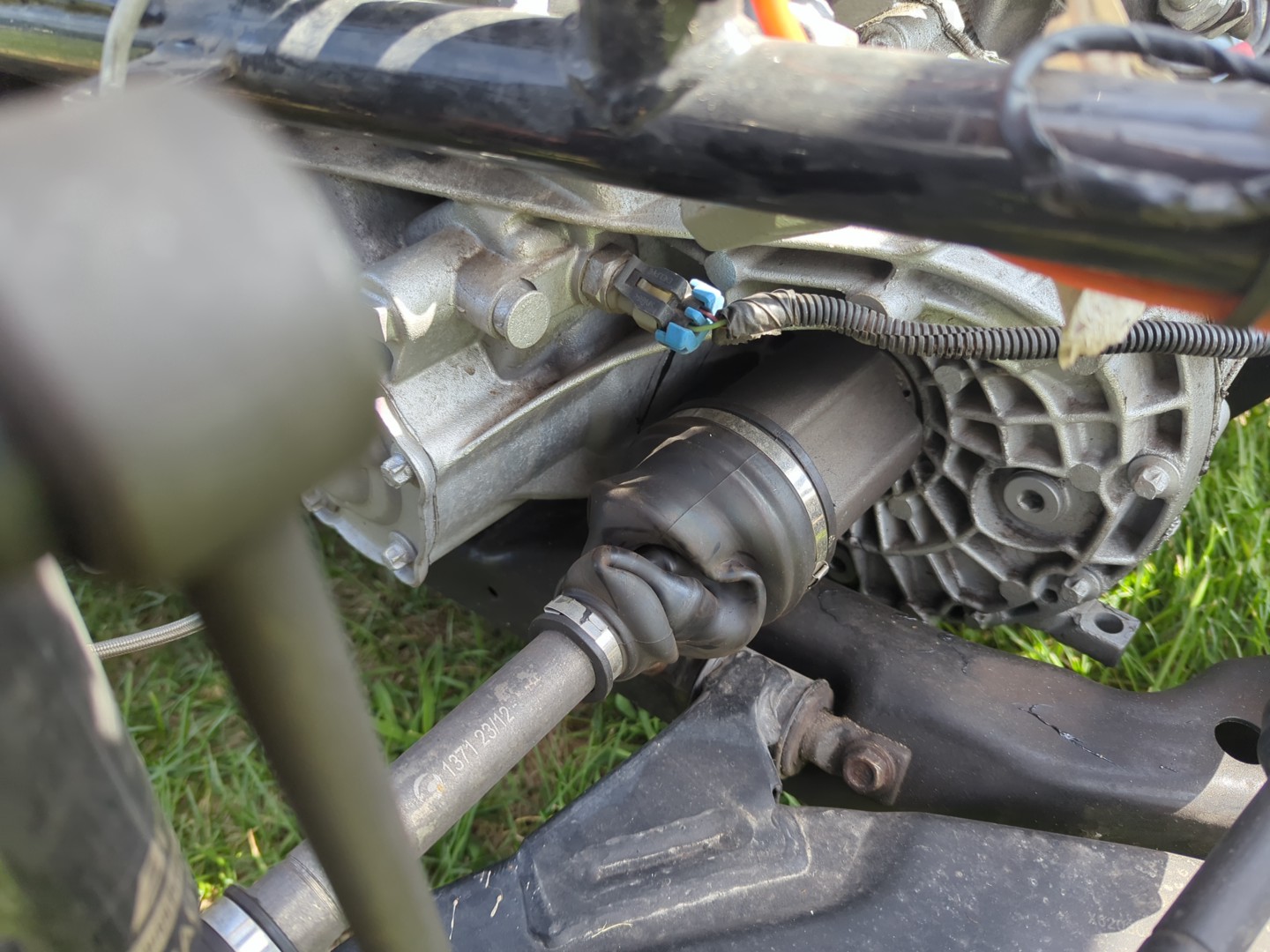 PXL_20250817_154308658.RESTORED.jpg