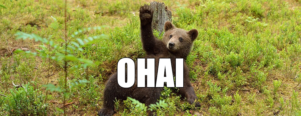 what-is-ohai.jpg
