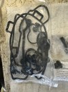 IMG_8573.jpeg