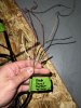IMG_3677.jpeg