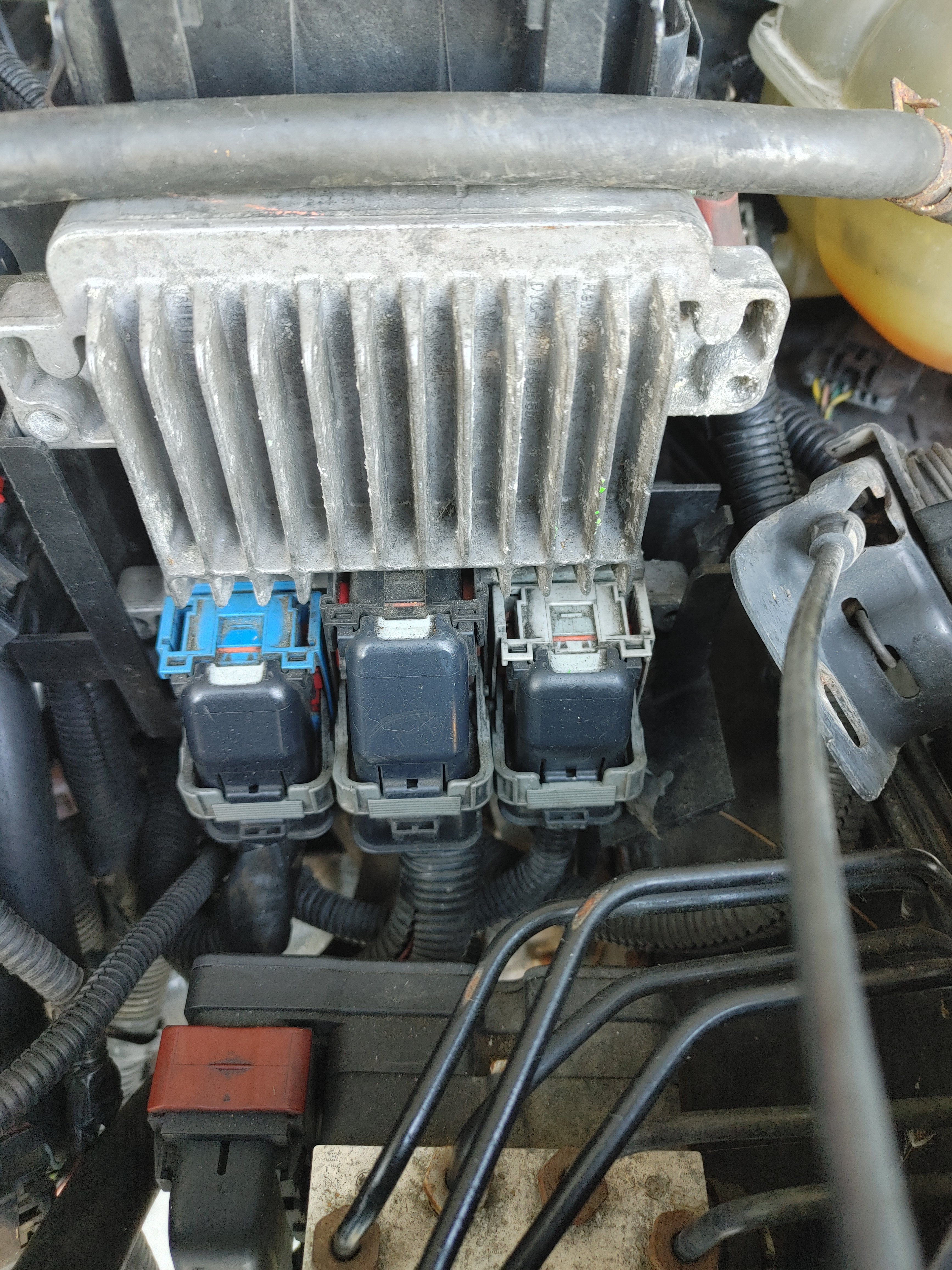 ECM PLugs.jpg